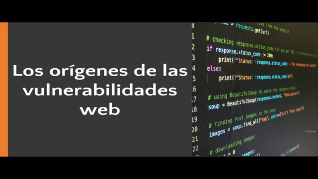 Ciberseguridad Origenes de las vulnerabilidades web – Screenshot 1