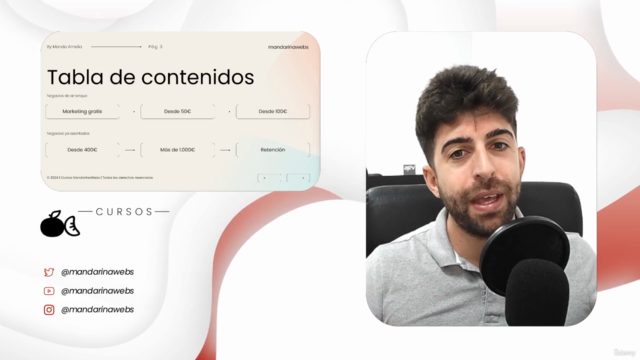 Maximiza tus Ventas: Marketing para Todos los presupuestos – Screenshot 2
