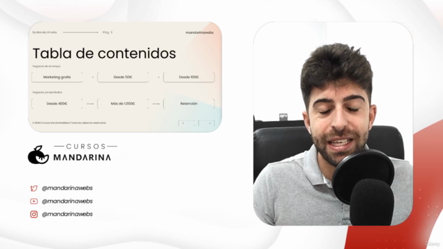 Maximiza tus Ventas: Marketing para Todos los presupuestos – Screenshot 4