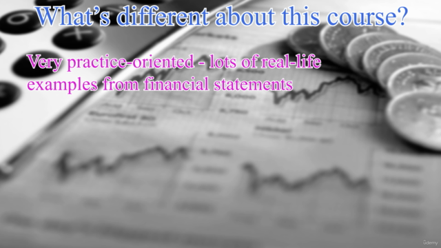 Financial Accounting and Financial Statements analysis – Screenshot 2