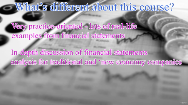 Financial Accounting and Financial Statements analysis – Screenshot 3