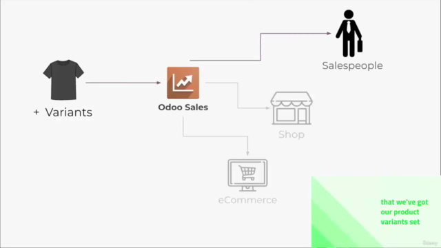 Become an Odoo Consultant Odoo Sales Machine [V17 / 2024] – Screenshot 1