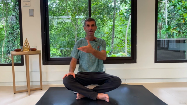 Yoga Therapy for Back Pain and Stress Relief – Screenshot 2
