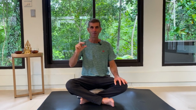 Yoga Therapy for Back Pain and Stress Relief – Screenshot 4