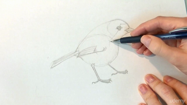 Drawing Birds: The Essential Guide – Screenshot 3