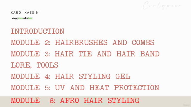 Easy Handling Afro Hair: Styling Secrets For Black Hair – Screenshot 4