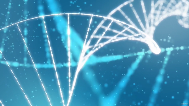 A Complete Inner-Child Healing & Rebirth Online Masterclass – Screenshot 4