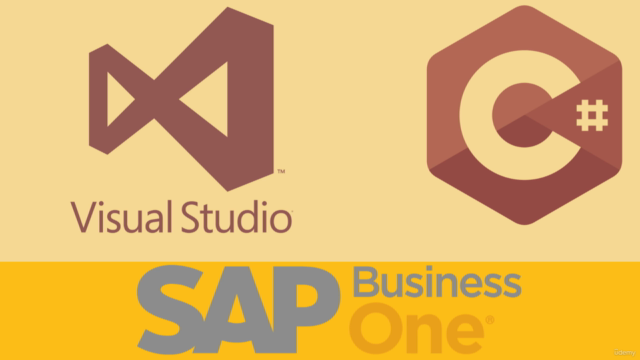 SAP BUSINESS ONE: SDK Y SERVICES LAYER DE CERO A EXPERTO – Screenshot 1