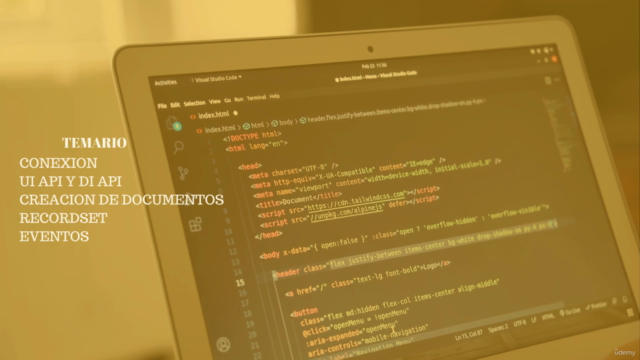 SAP BUSINESS ONE: SDK Y SERVICES LAYER DE CERO A EXPERTO – Screenshot 2