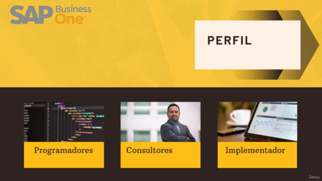 SAP BUSINESS ONE: SDK Y SERVICES LAYER DE CERO A EXPERTO – Screenshot 3