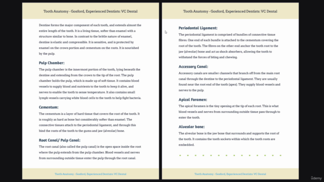 Master the Art of Dentistry : Prepare for Dental School/Work – Screenshot 4