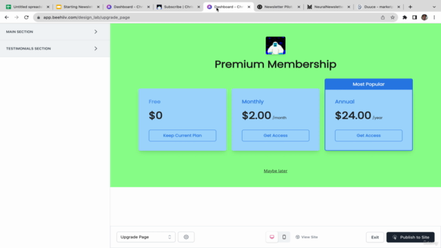 Building & Monetizing Newsletter Business with AI – Screenshot 1