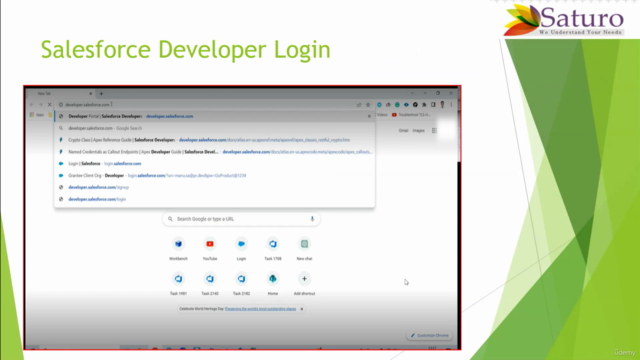 Salesforce Training – Screenshot 2