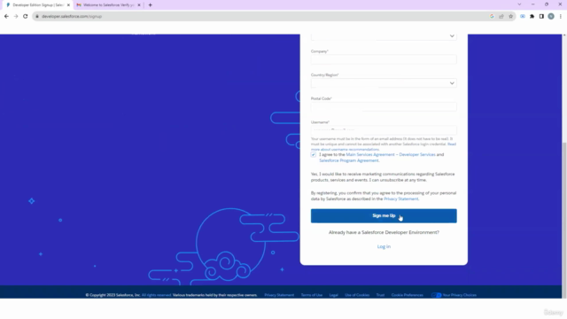 Salesforce Training – Screenshot 3