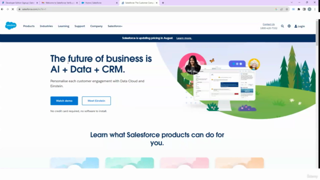 Salesforce Training – Screenshot 4