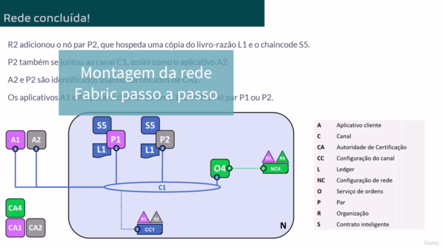 Preparatório Certificação Hyperledger Fabric (HFCP) 2023 – Screenshot 2
