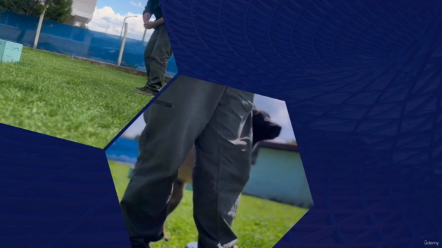 Yavru Köpek Eğitimi – Screenshot 1