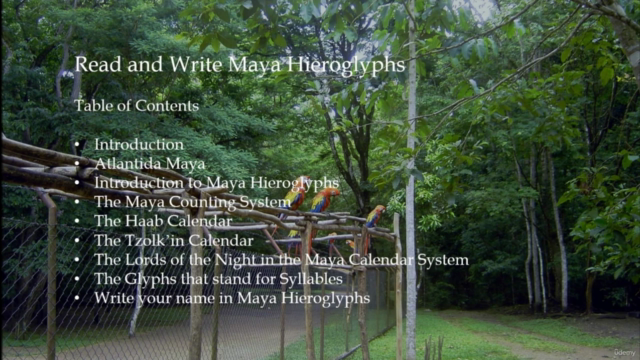 Read and Write Maya Hieroglyphs – Screenshot 1