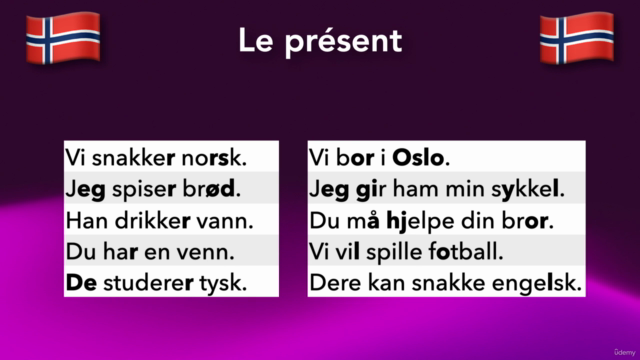 Langue norvégienne pour débutants (français) – Screenshot 3