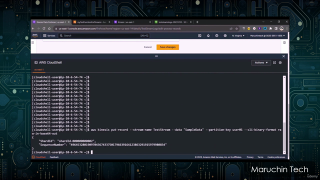 AWS Certified Data Analytics Specialty (DAS-C01) Training – Screenshot 2