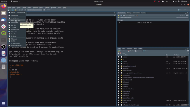 Fundamentos básicos de R – Screenshot 4
