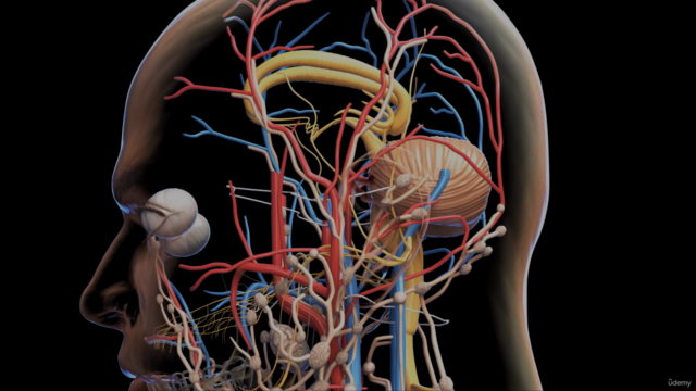 Mastering Pharmacology of the Central Nervous System – Screenshot 2