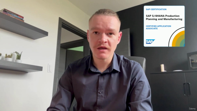 SAP S4/HANA PPDS Embedded : Guide de configuration – Screenshot 1