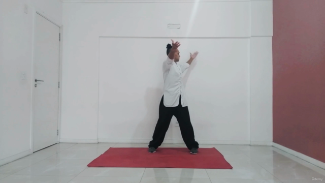 Tai Ji Qi Gong em 18 Movimentos – Screenshot 2
