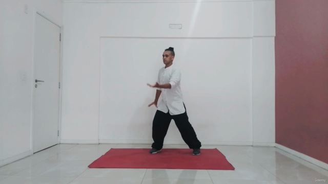 Tai Ji Qi Gong em 18 Movimentos – Screenshot 3