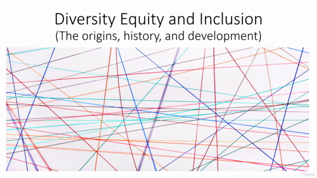 Diversity, Equity, and Inclusion - Screenshot_01