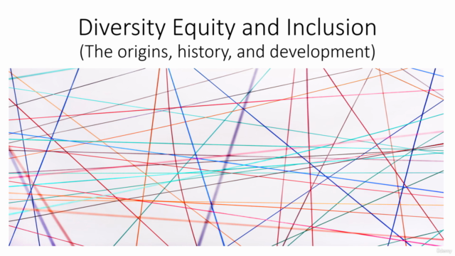 Diversity, Equity, and Inclusion - Screenshot_02