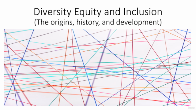 Diversity, Equity, and Inclusion - Screenshot_03