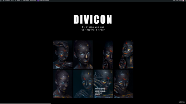 Divi Gallery: Personalización Extrema – Screenshot 1