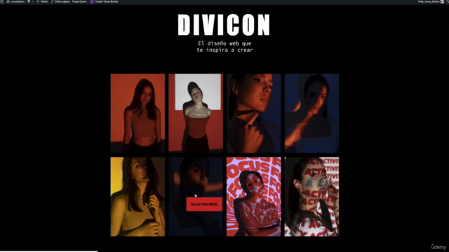 Divi Gallery: Personalización Extrema – Screenshot 2