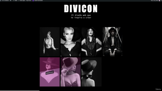 Divi Gallery: Personalización Extrema – Screenshot 3