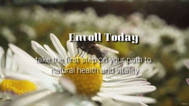 Herbalism: Master the Art of Herbalism Certification Course – Screenshot 4