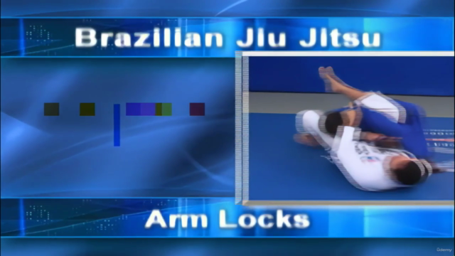 Brazilian Jiu-Jitsu Techniques Vol. 5 - Arm Locks – Screenshot 2