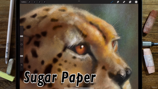 The Procreate Pastel Masterclass – Screenshot 2
