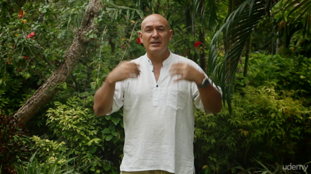Learn Advanced Reflexology and TCM for Health Practitioners – Screenshot 1
