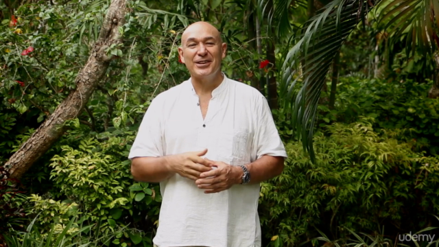 Learn Advanced Reflexology and TCM for Health Practitioners – Screenshot 2