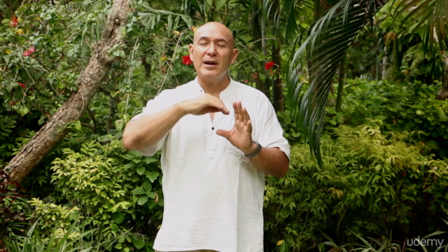 Learn Advanced Reflexology and TCM for Health Practitioners – Screenshot 3