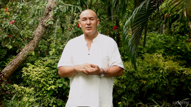Learn Advanced Reflexology and TCM for Health Practitioners – Screenshot 4