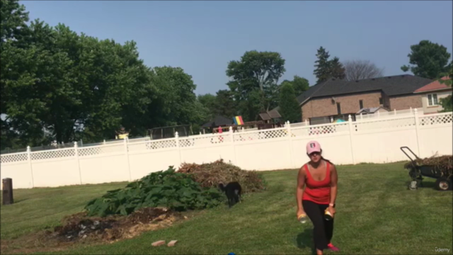 Freedom Fit Flex – Screenshot 4