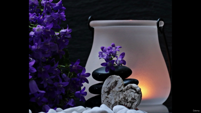 Mindfulness Diploma Course (Accredited Course) – Screenshot 1