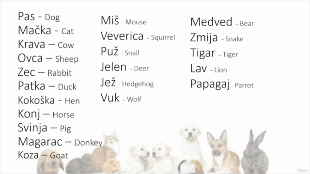 Complete Serbian Course: Learn Serbian for Beginners – Screenshot 3