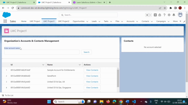 Salesforce LWC (Lightning Web Component) with Live Project – Screenshot 3