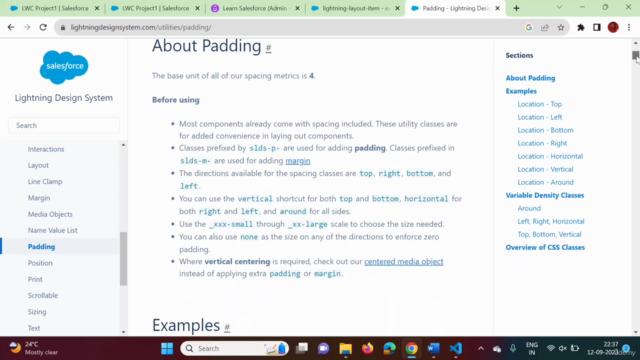Salesforce LWC (Lightning Web Component) with Live Project – Screenshot 4