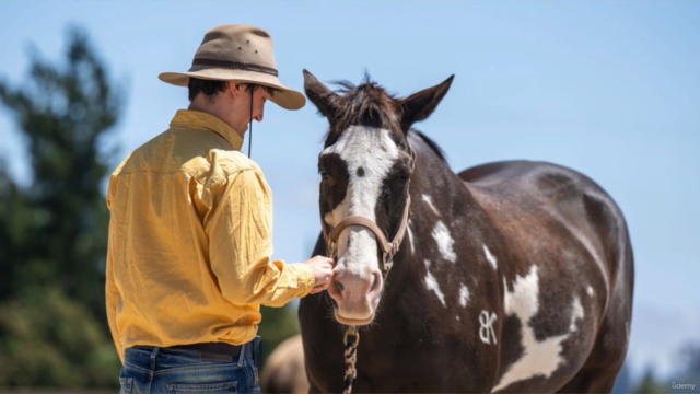 Homecoming; Emotional Horsemanship Intermediate Groundwork – Screenshot 2