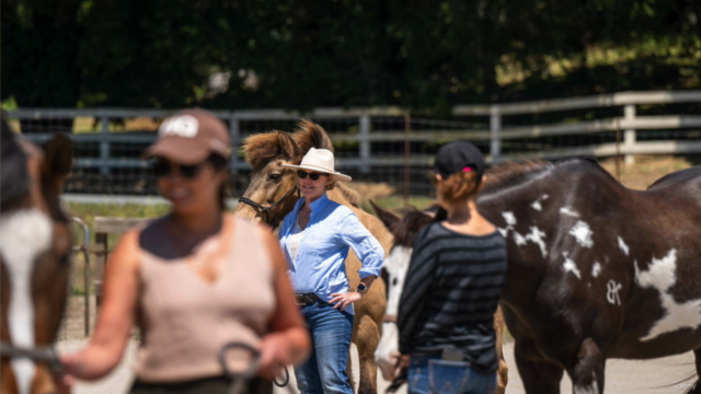 Homecoming; Emotional Horsemanship Intermediate Groundwork – Screenshot 3