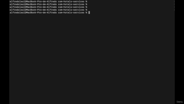 Spring Boot & Angular: Construye aplicación reserva hotelera – Screenshot 3